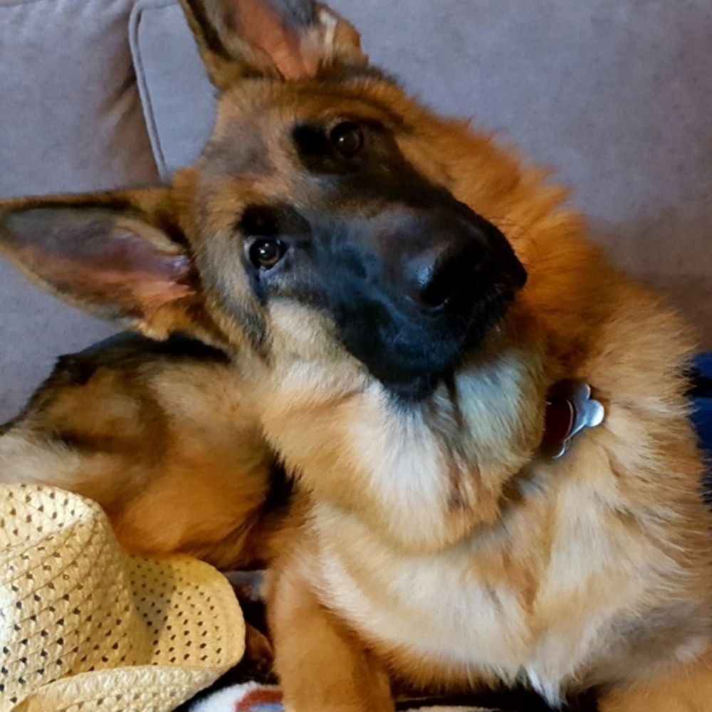 Meet your Posher, Marla Kay